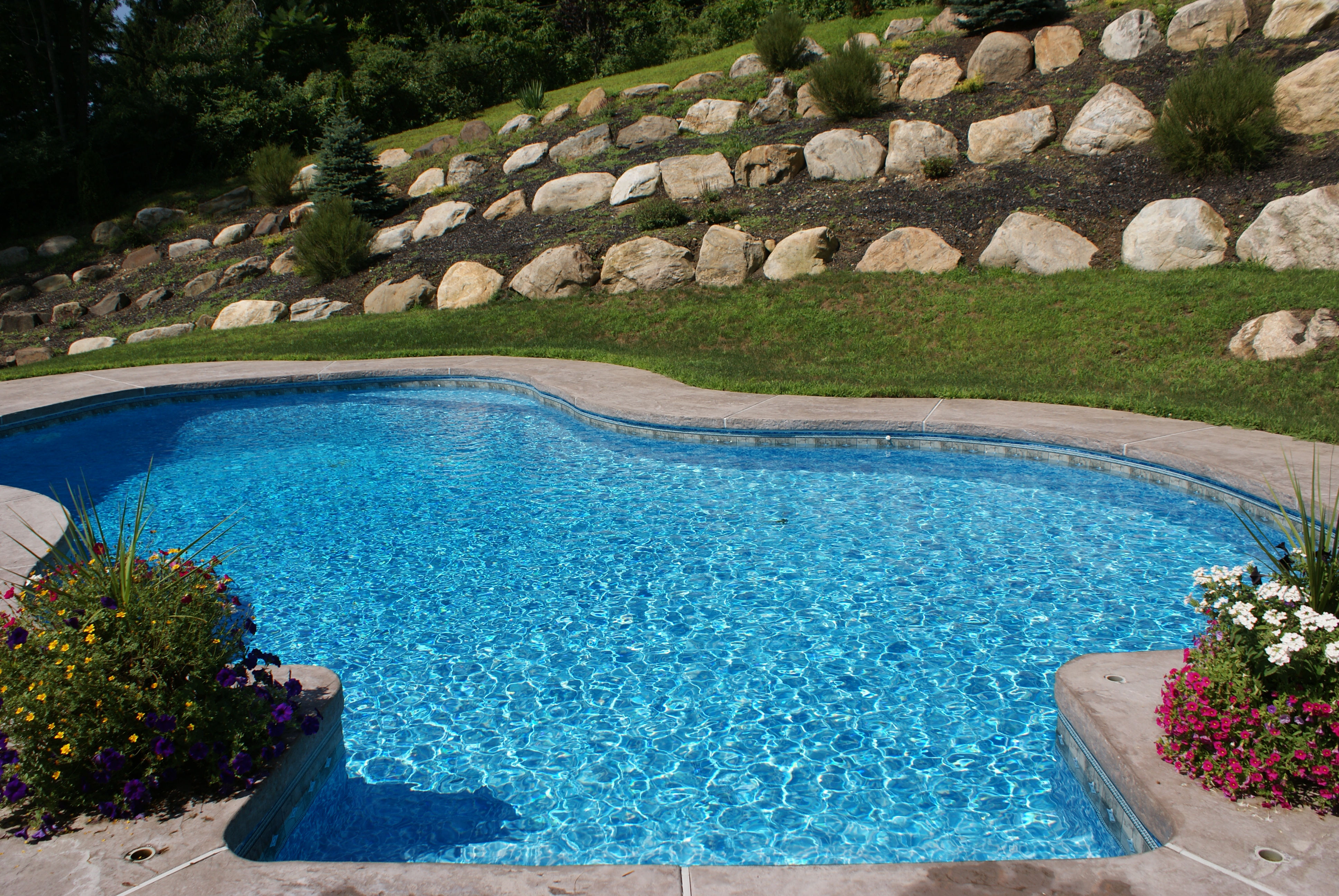 SONY DSC Olympic Pool and Spa